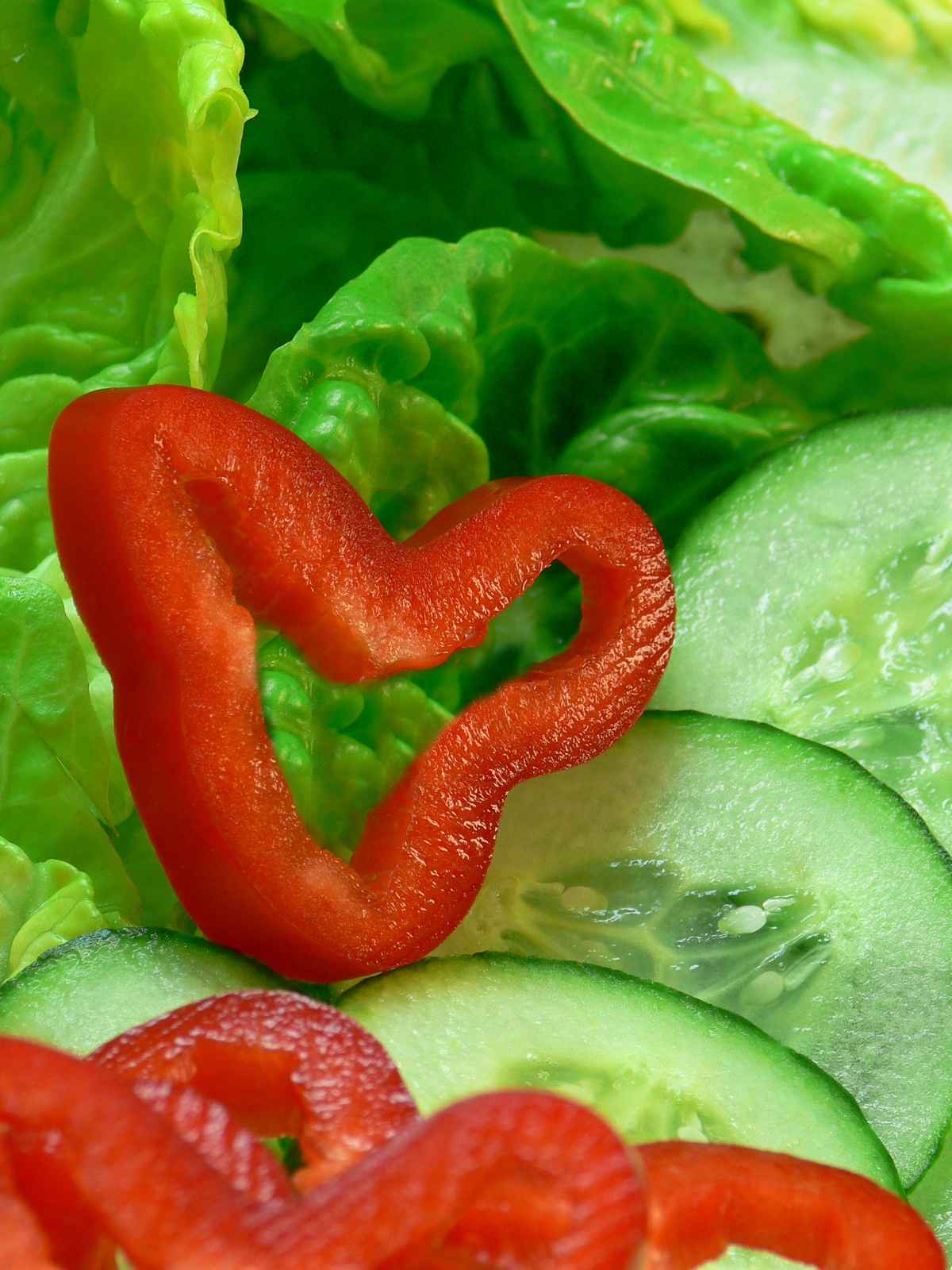 Kochen mit Herz (nur redaktionelle Nutzung)