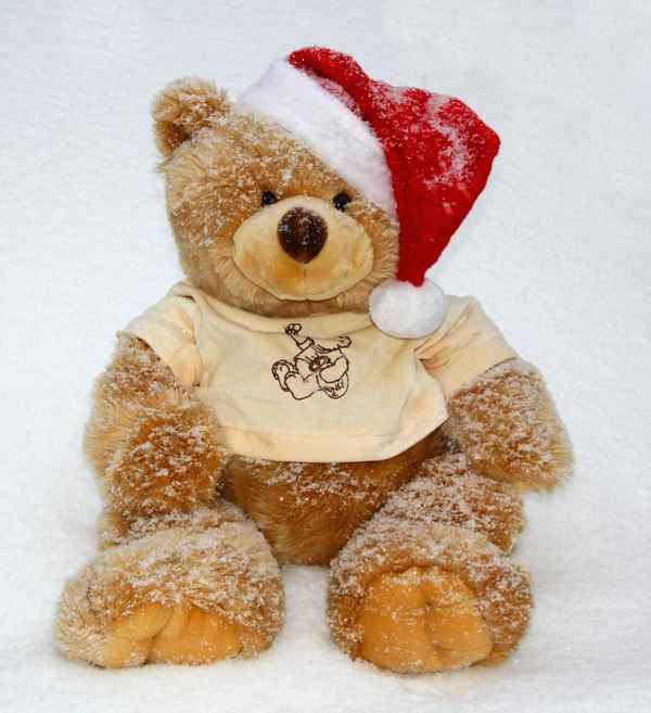 "FROHE WEIHNACHTEN  2009!"