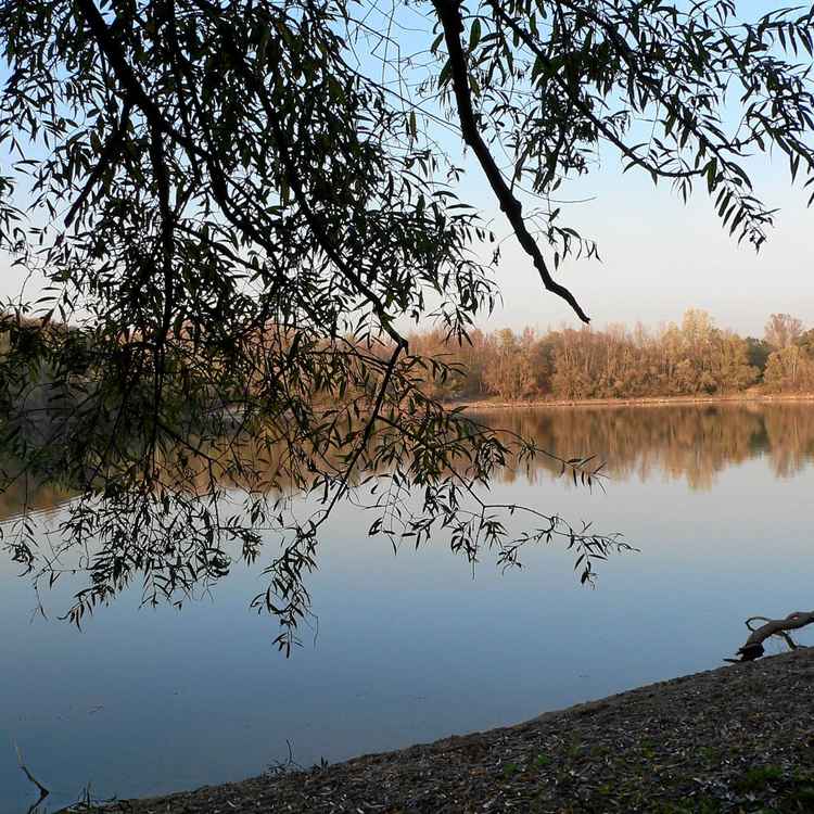 alter Baggersee 3