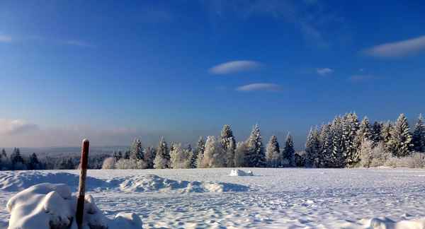 Wintermorgen - klirrend kalt