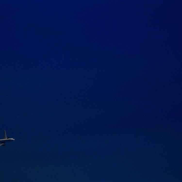 fly high