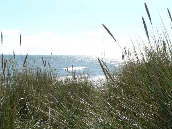  Lyngsa Strand 05 (Dänemark)