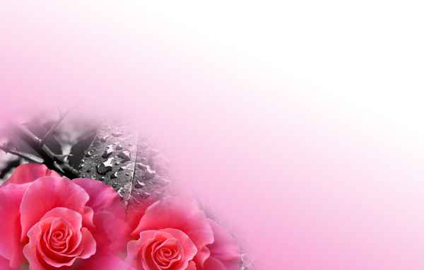 Liebe Mutter 7