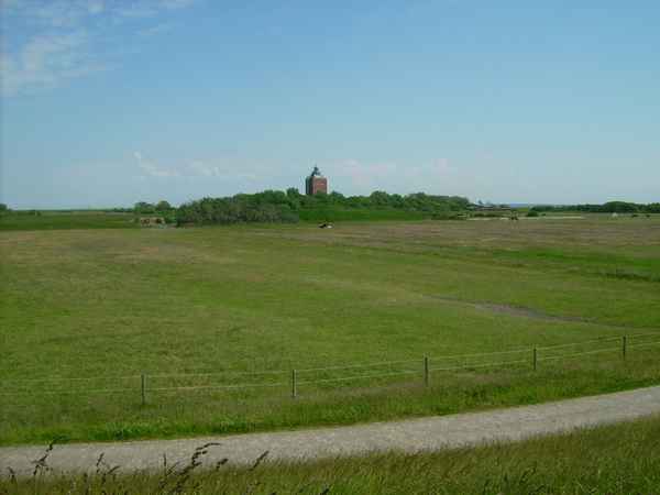 Neuwerk III Sommer08