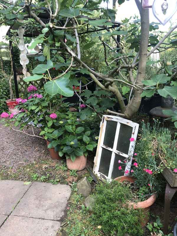 Gartenfenster