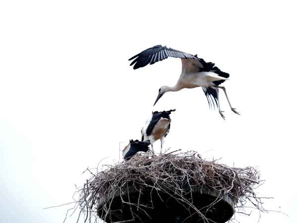 training für die große reise 1