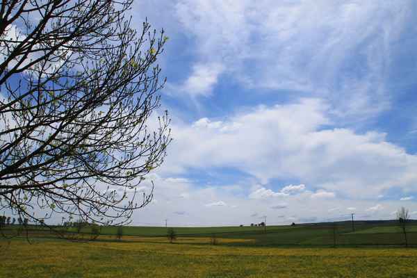 Frühlings.Blick 01