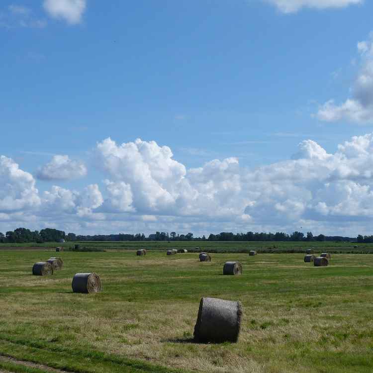 Küstenhimmel an der Ostsee