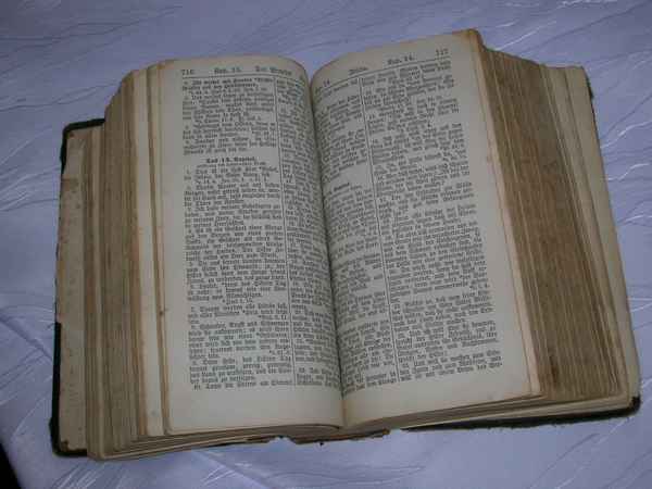 Alte Bibel 1