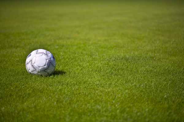 Rasen und Sommerfußball