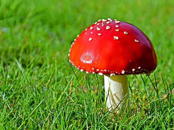 nicht essen - stehen lassen