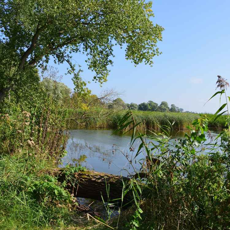 Usedom - Idylle am Achterwasser