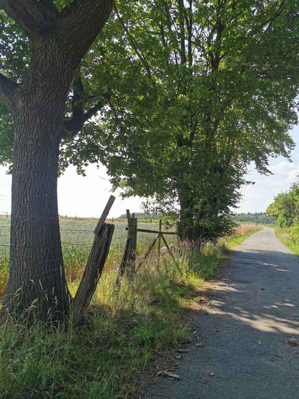 Schöner Feldweg