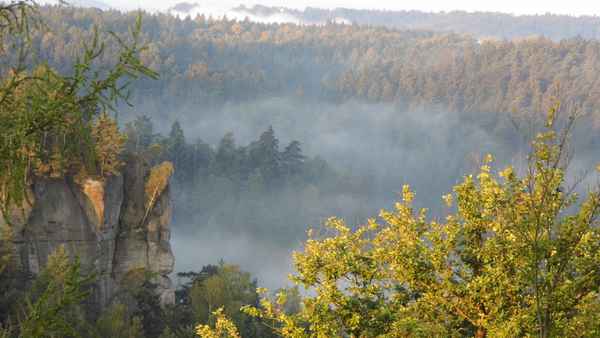Morgennebel
