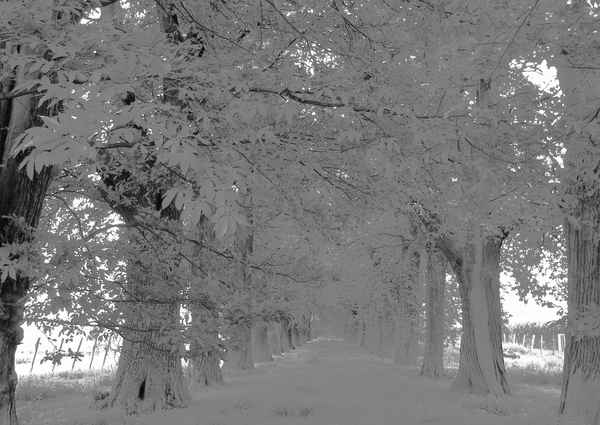 Wintereinbruch ?!?