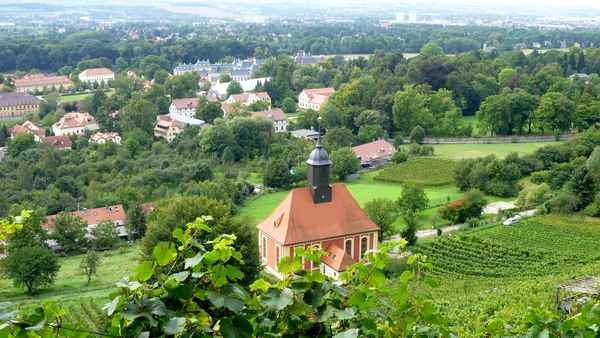 Weinberge bei Pillnitz