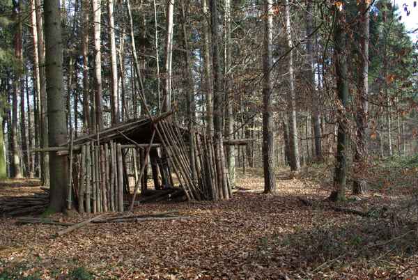 Unser Wald - Kinderspielplatz