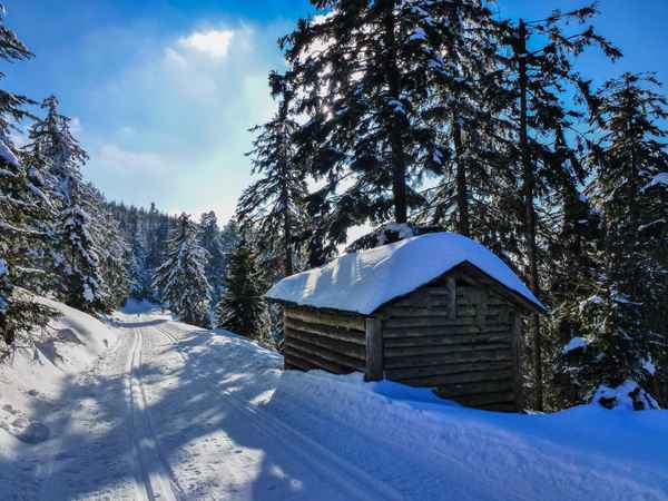 Langlauf-Freuden im Schwarzwald