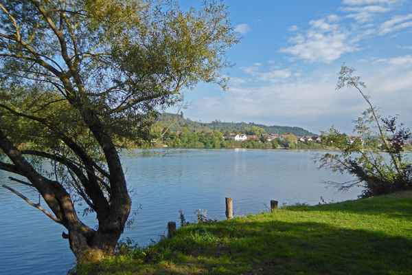 Tolle Ausblicke auf dem Rheinuferweg