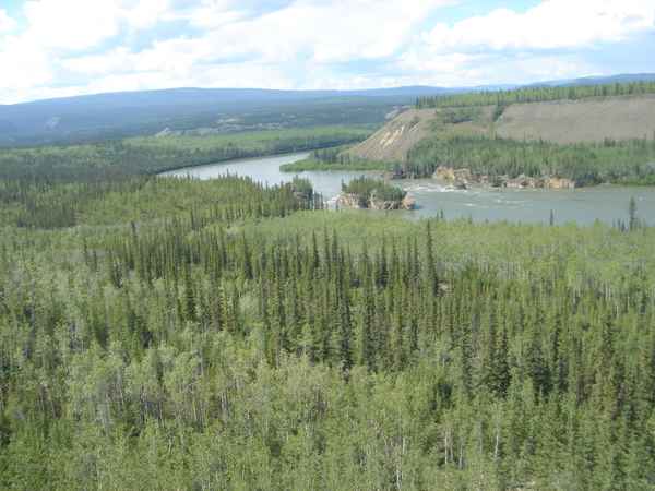 YUKON