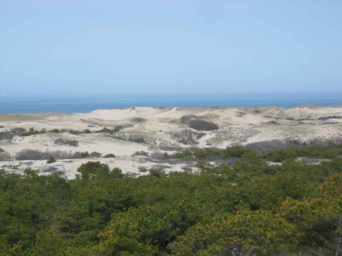 Cape Cod
