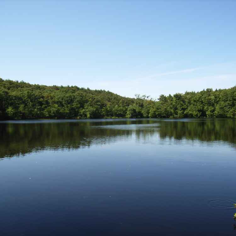 Herthasee auf Rügen