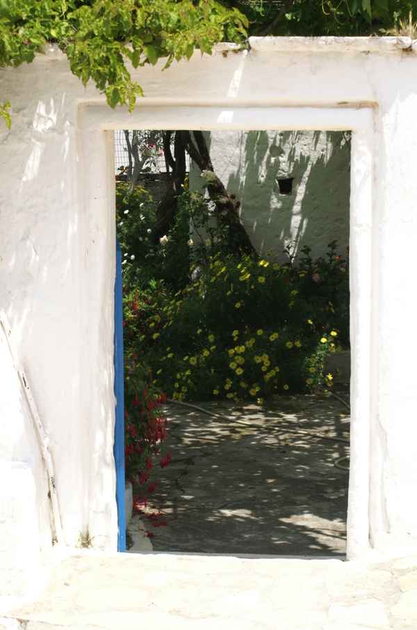 Blick in Nachbarsgarten 2