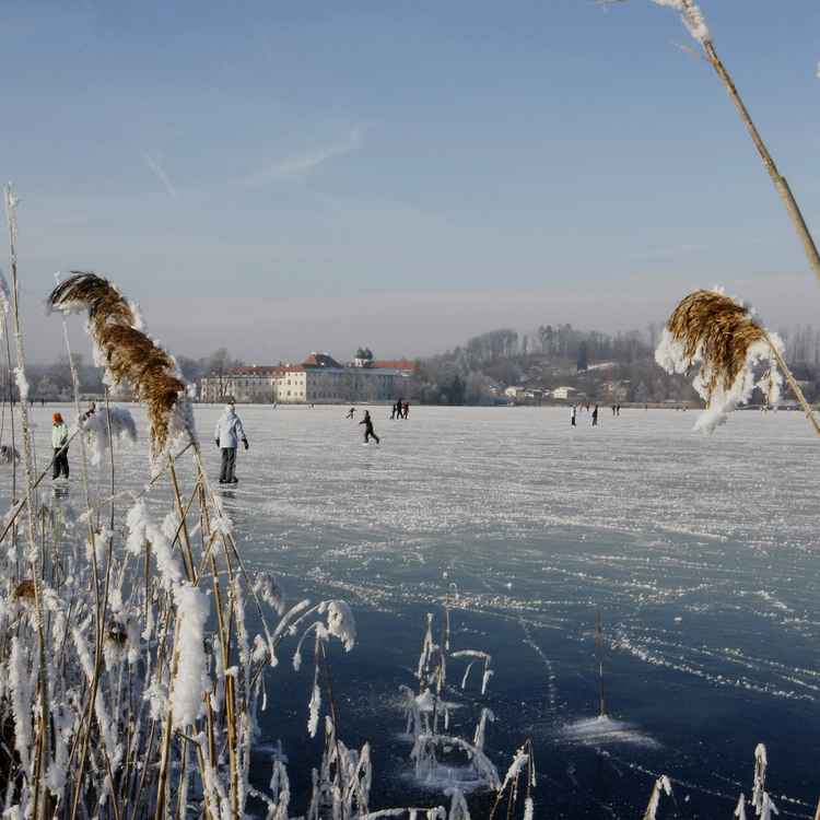 Seeoner See mit Kloster im Winter