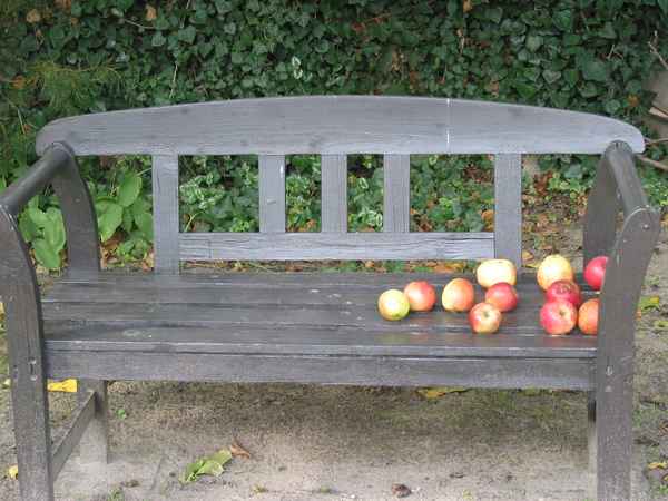 Im Herbstgarten 2
