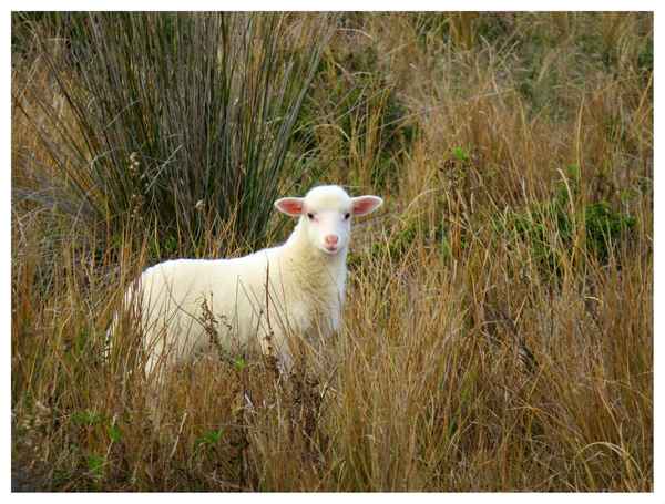 Lost in the wilderness !