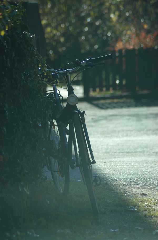 Fahrrad im Nebel