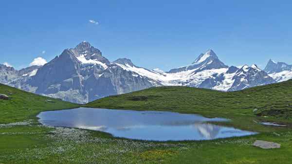 Wetterhorn und Schreckhorn