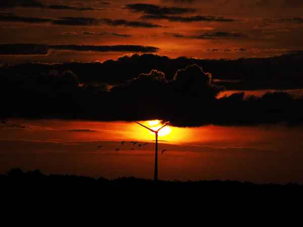 sonnenuntergang im moor