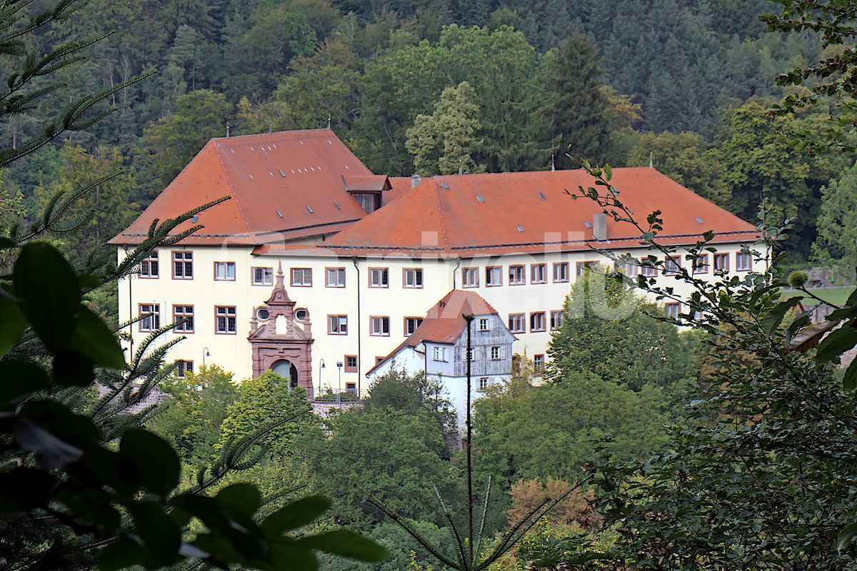 Blick auf Neuenbürg, Schloß