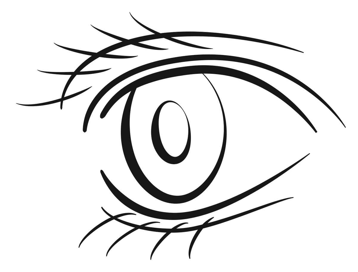 Skizze menschliches Auge