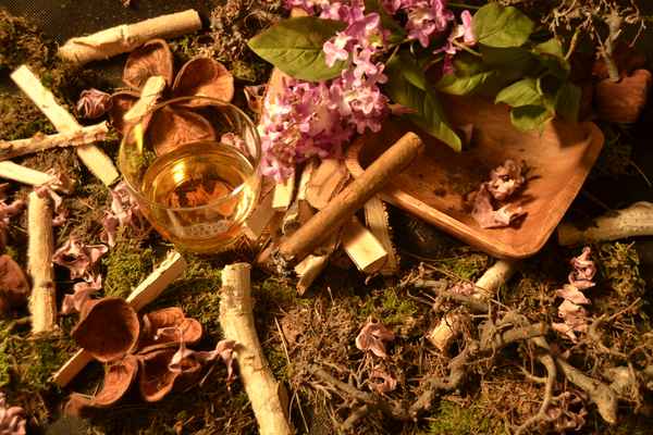 Im Einklang mit der Natur?