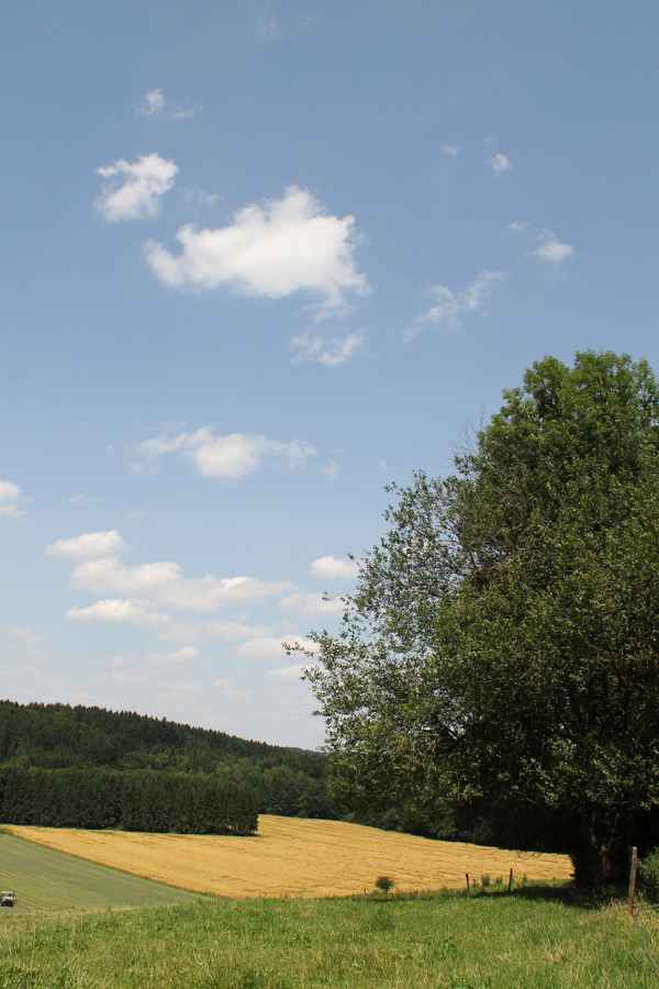 Sommer in Walchstadt...02
