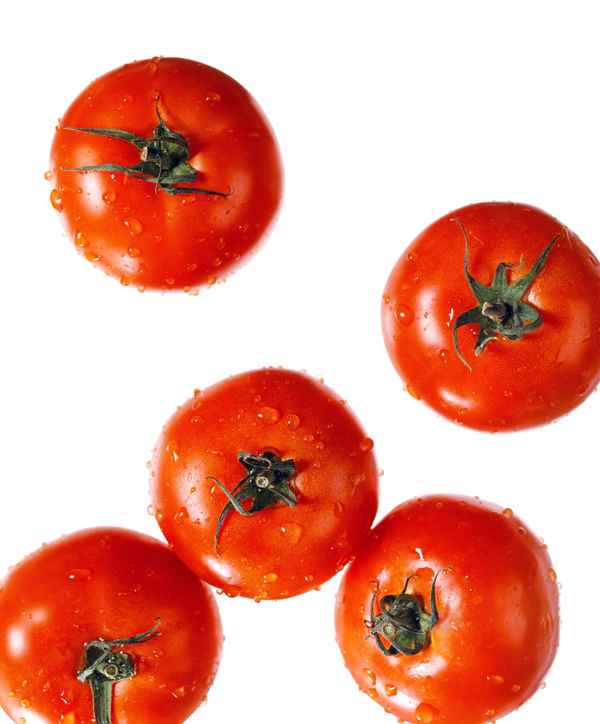 Tomaten-Trio