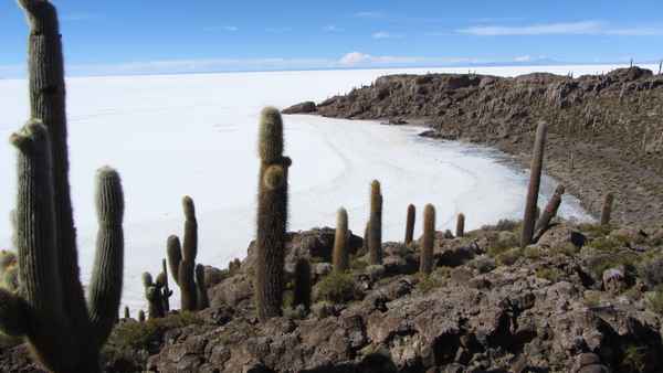 Isla Incahuasi