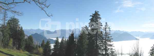Rigi - über dem Nebelmeer