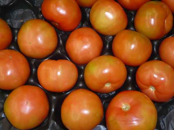Fleischtomaten