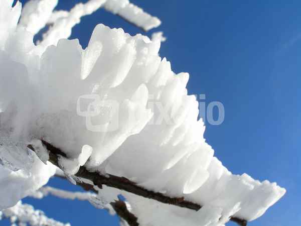 Frost