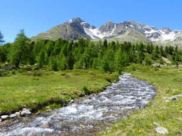 Psalm 23, Frisches Wasser