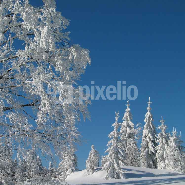 Schwarzwaldwinter_2