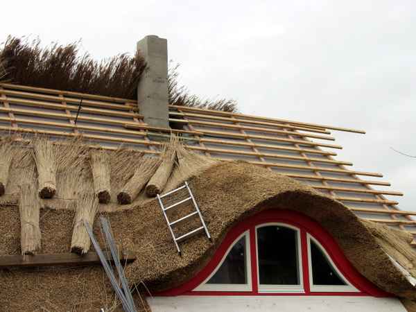 Erneuerung Reetdach/Rohrdach #2