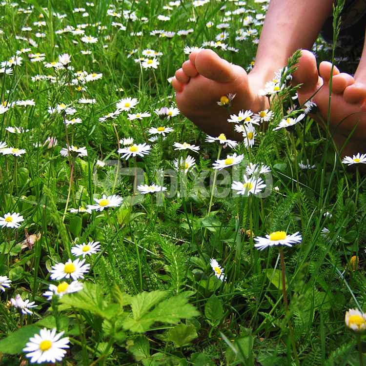 Und es war Sommer