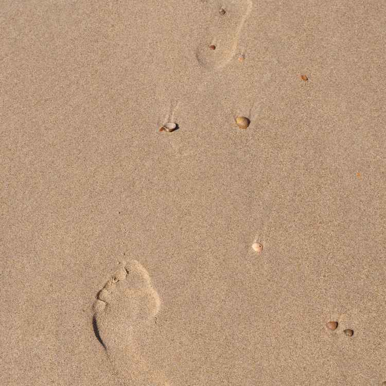 Deine Spuren im Sand 1