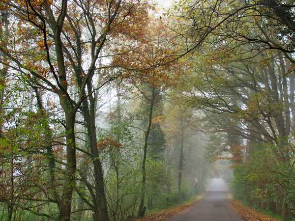 novemberimpressionen