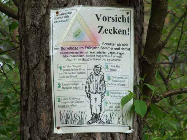 Vorsicht Zecken