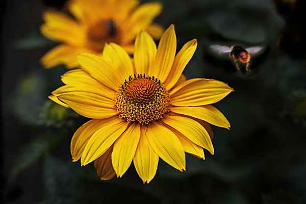 auf dem Weg zur Arbeit